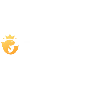 MrPacho Casino